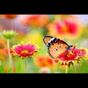 Meet your Posher, Tajana